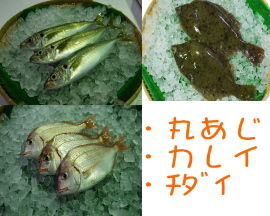 iC[W4