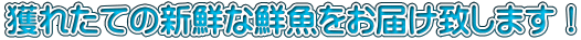 lꂽĂ̐VNȑN͂v܂I